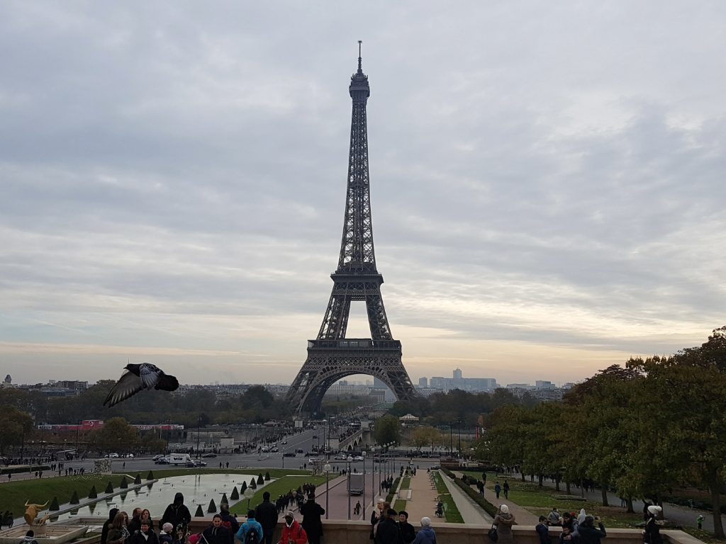 The Eiffel Tower: where every glance feels like a postcard.